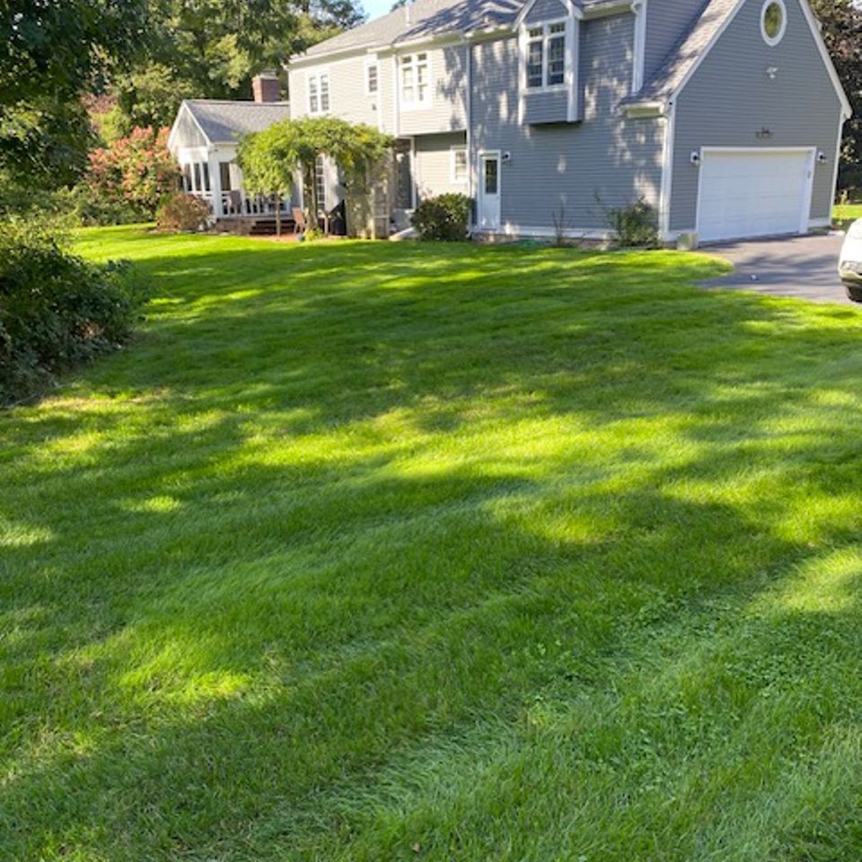Sullivan front lawn restore photo after 1