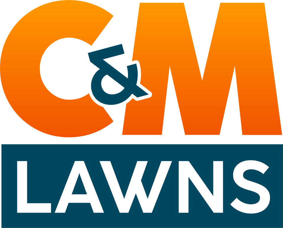 C m secondary v1 color