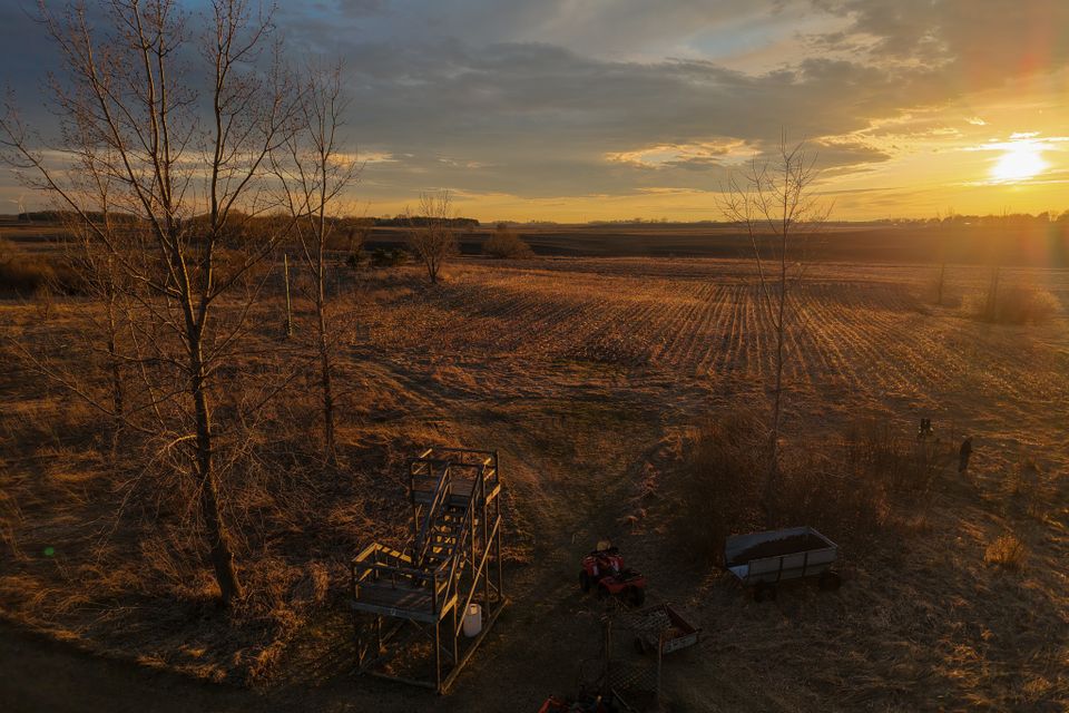 Dji fly 20260414 200204 0211 1776218825621 photo