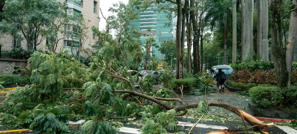 Dangerous hanging limb removal in Auburn, CA, featuring Lyons Tree Service using a spider lift to clear storm-damaged branches from over a driveway.