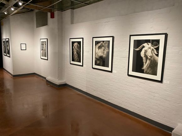 Horan exhibit photo 2