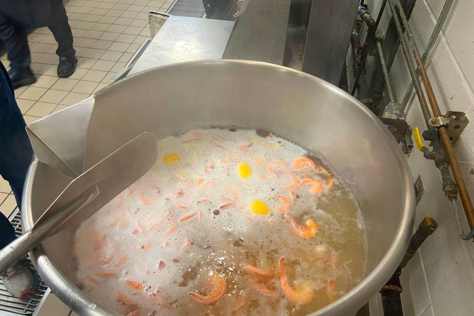 Ser shrimp feed prep 7