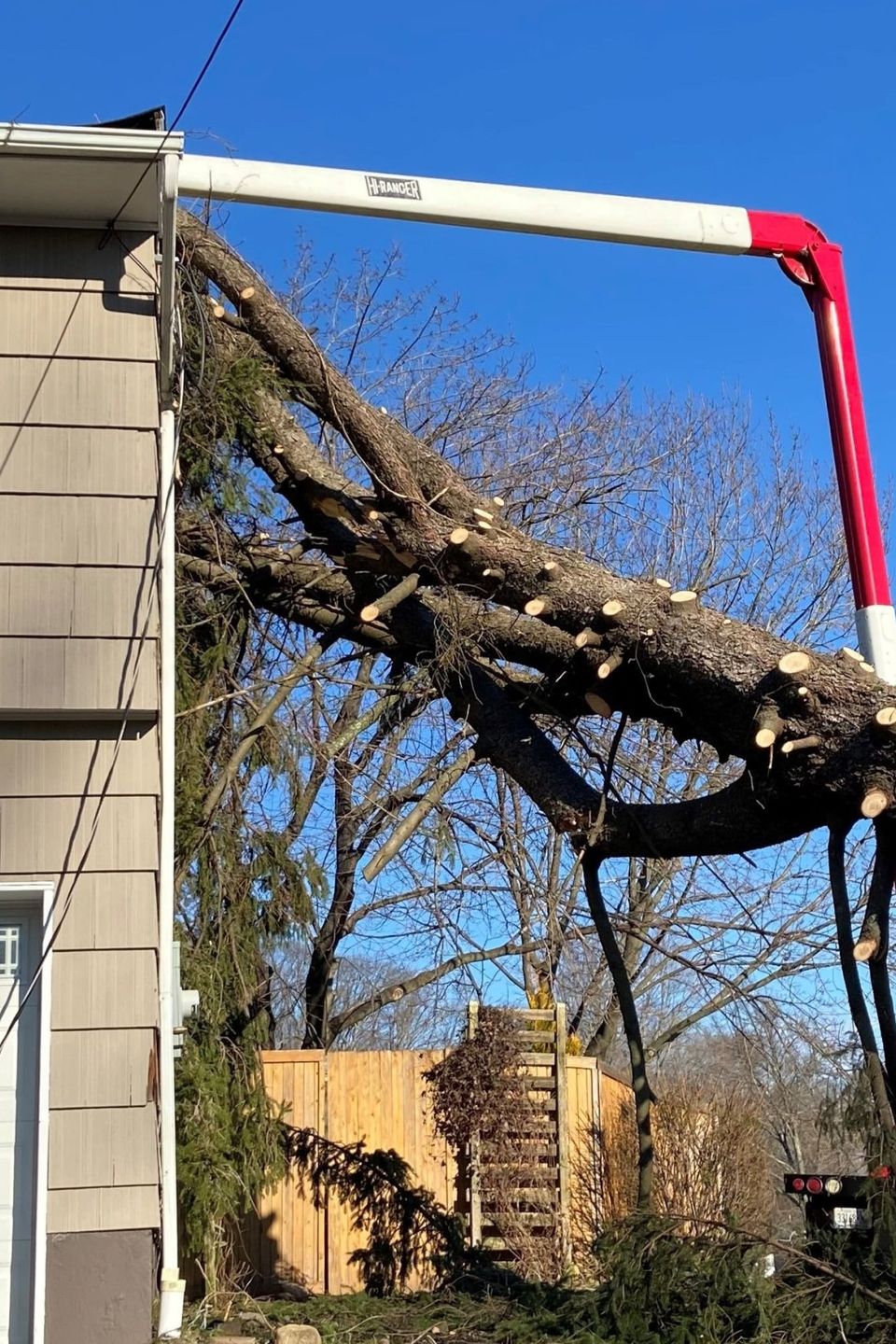 emergency tree service sacramemnto