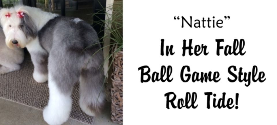 Faces   nattie ball game20150623 16889 527of6