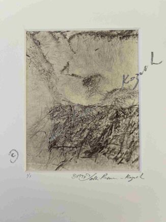 Straw drawing with light platinum print