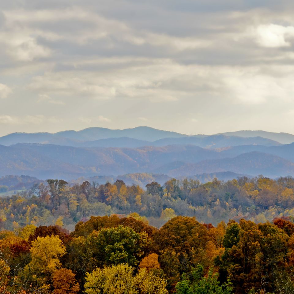 Blue ridge fall 2
