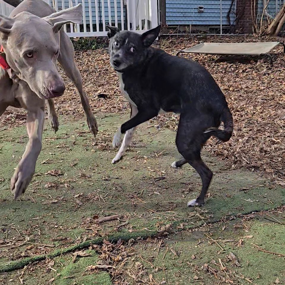 20251124 121905 exported 40381