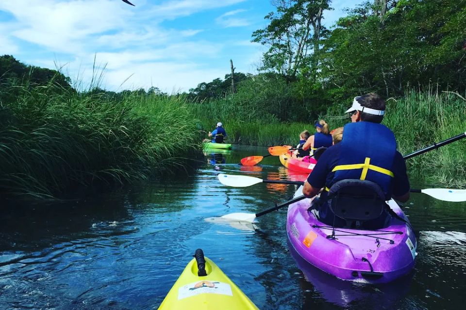 People kayaking down a river