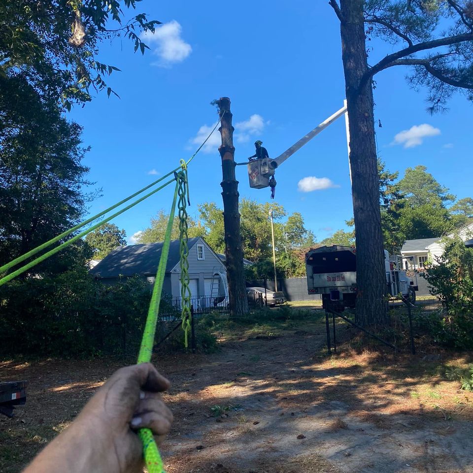 469361812 1491394698190669 7524774766153008715 n