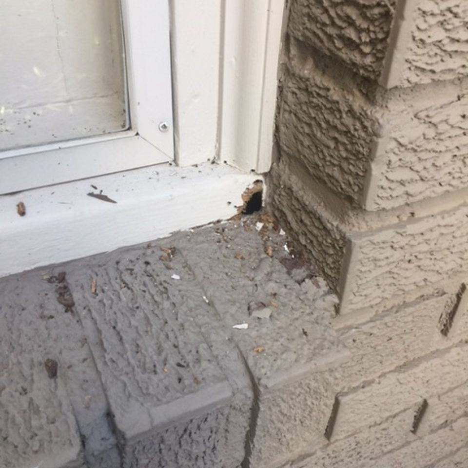 Wood rot repair specialists   window casement frame   img 308020170317 32437 1gkouc5