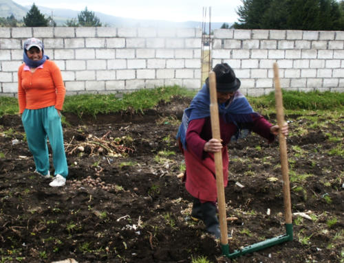 Garden ecu