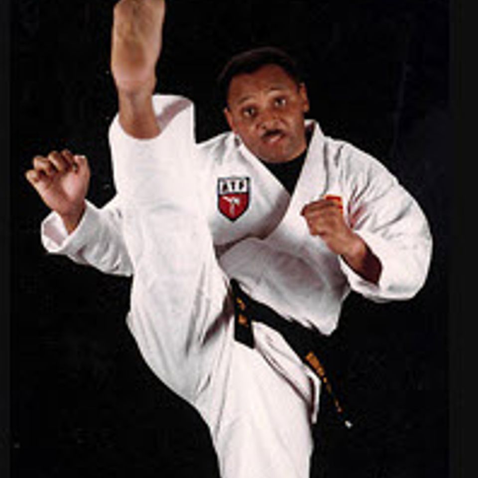 Robert nichols karate expert 2