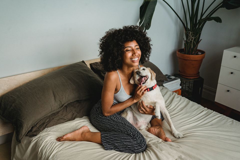 Pexels samson katt 5255616
