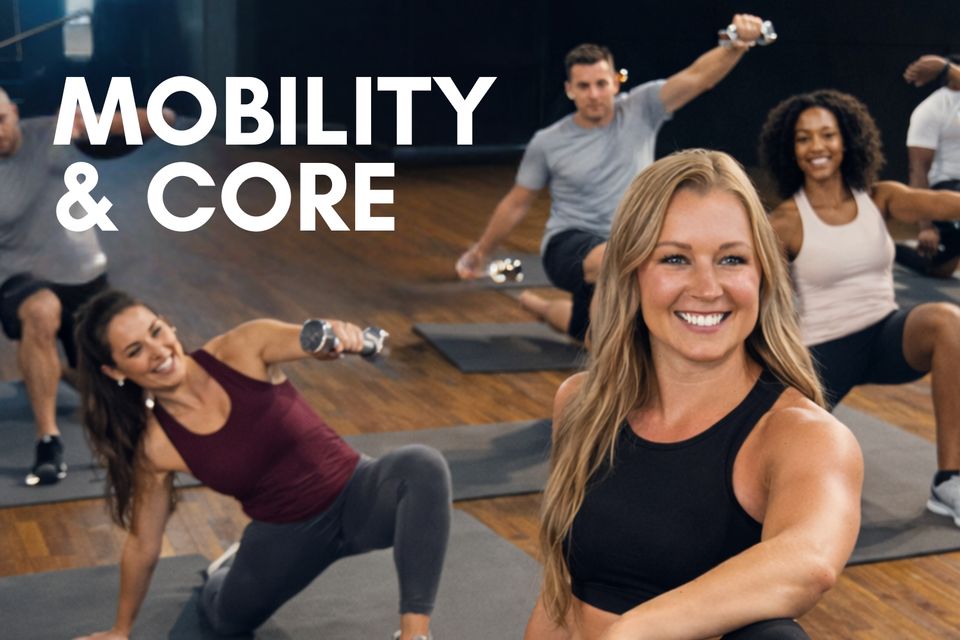 Next level training website