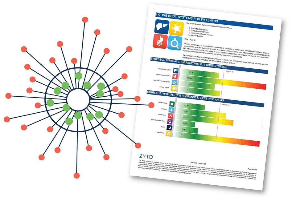Zyto balance wellness report page and dynamic profile graphic 1