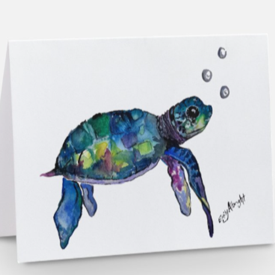 Sea turtle wcp notecard