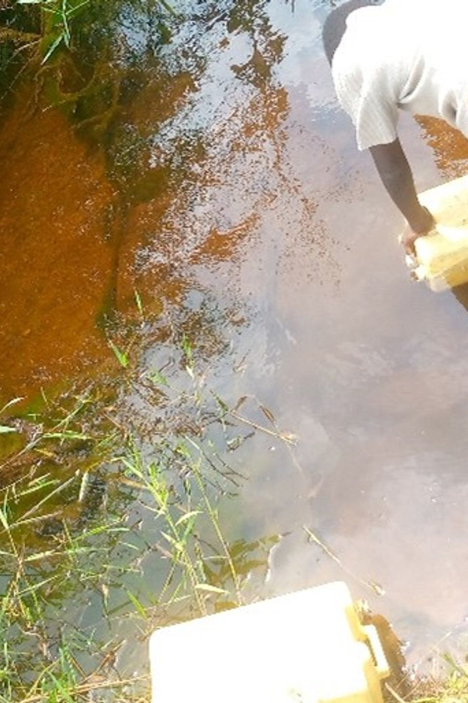 Picture7