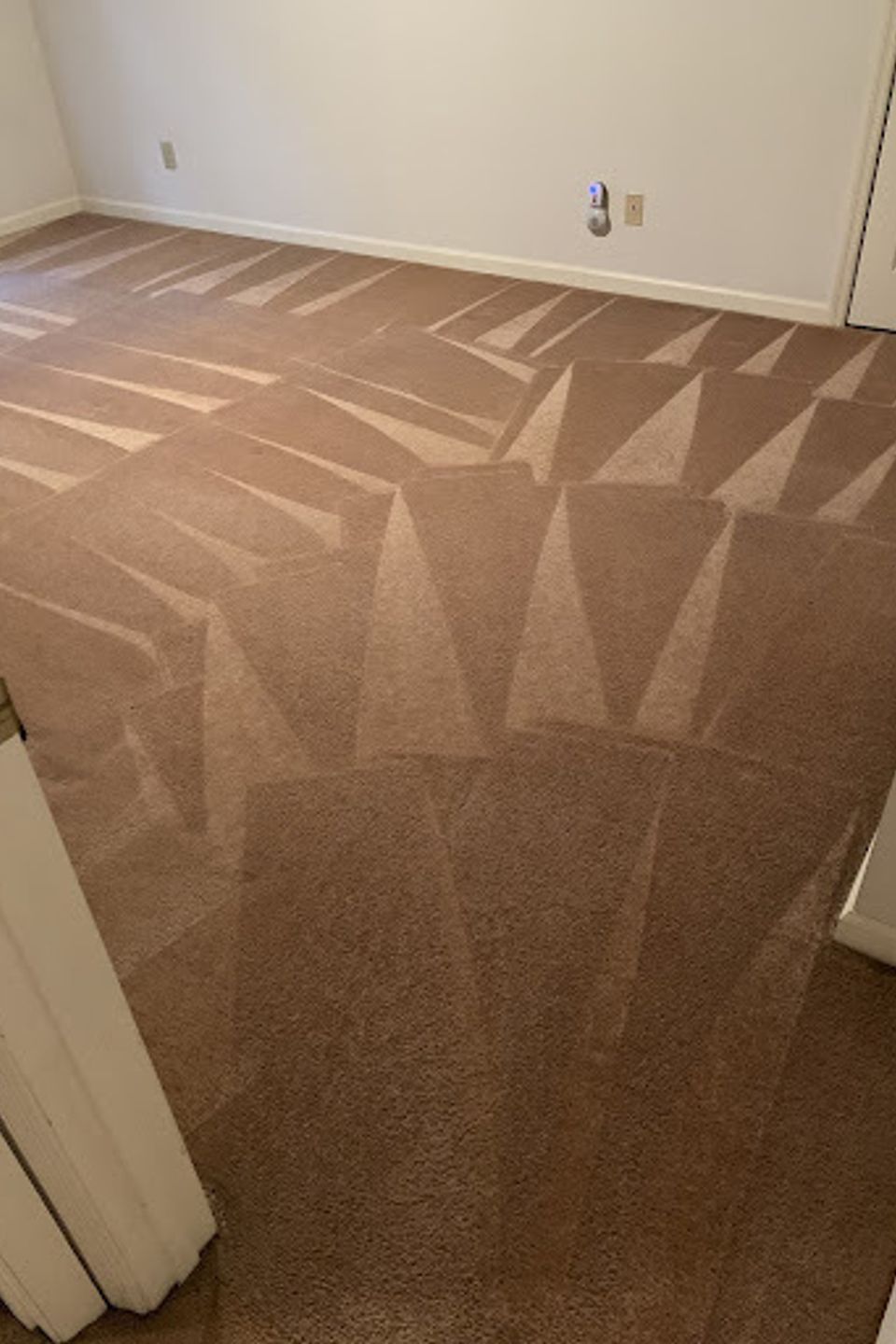 Carpet21
