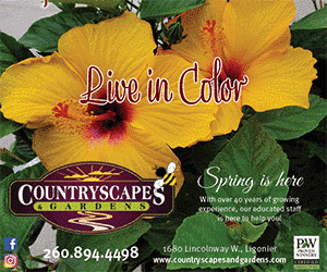 Countryscapes ll