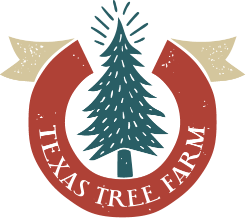 Texas Christmas Tree Farm