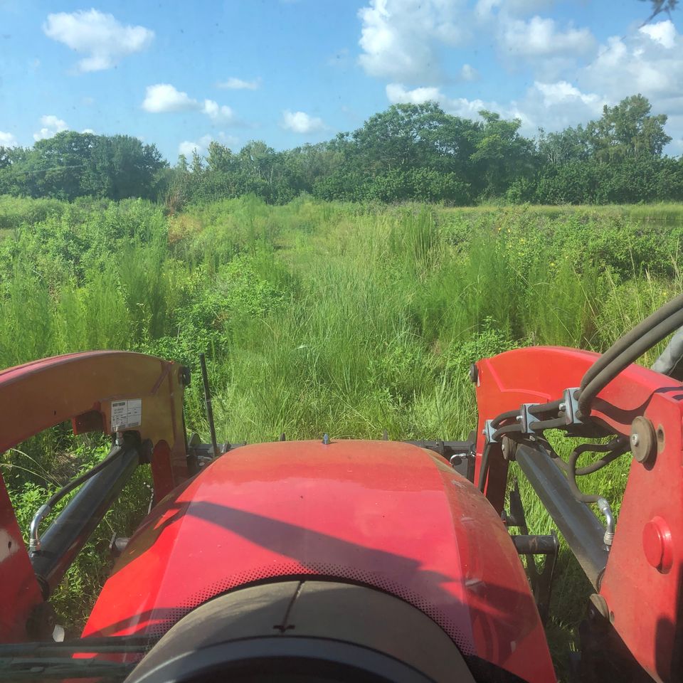 Mowing1a