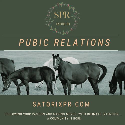 Satori pr logotype2 960x960 original original