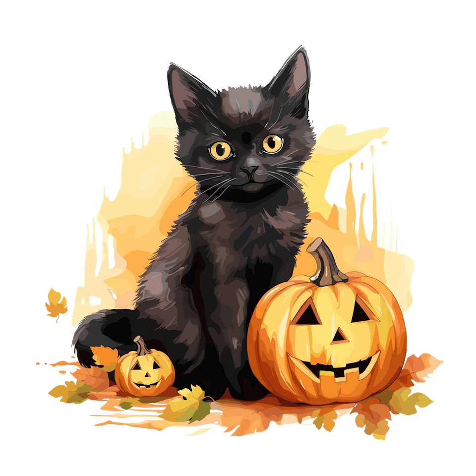 Seasons   halloween black cat and pumpkin 11 10