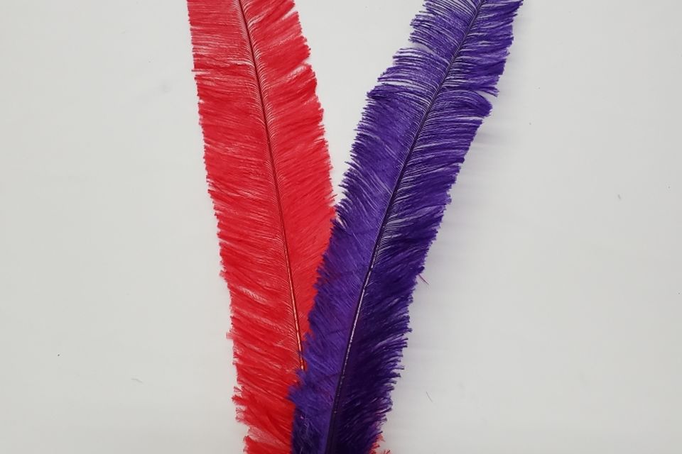 Nondu feather