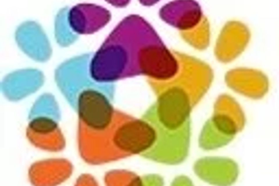 Paw prints- logo for Animal Wellness 