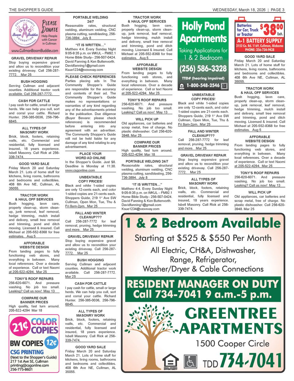 3 18 shopper with page 3