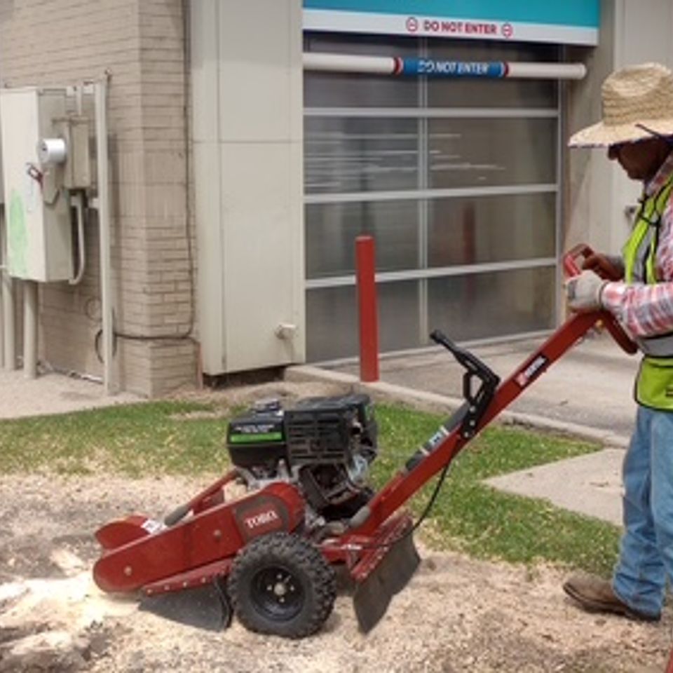 Stump grinding.