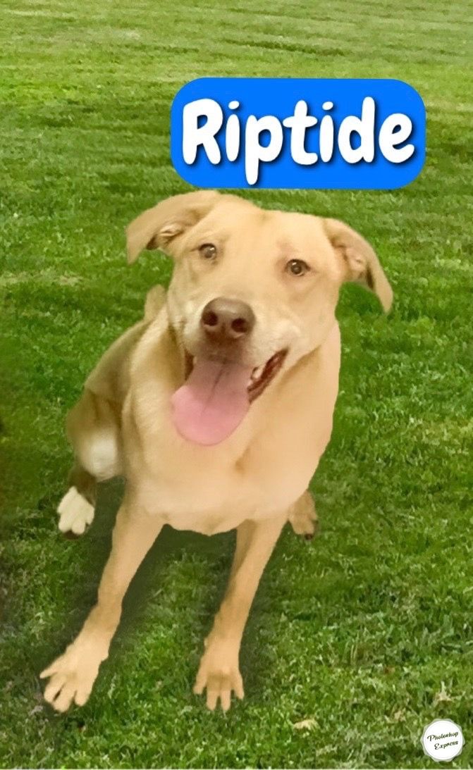 F8cdde65 4dce 4f5a a4c8 9927838695f2