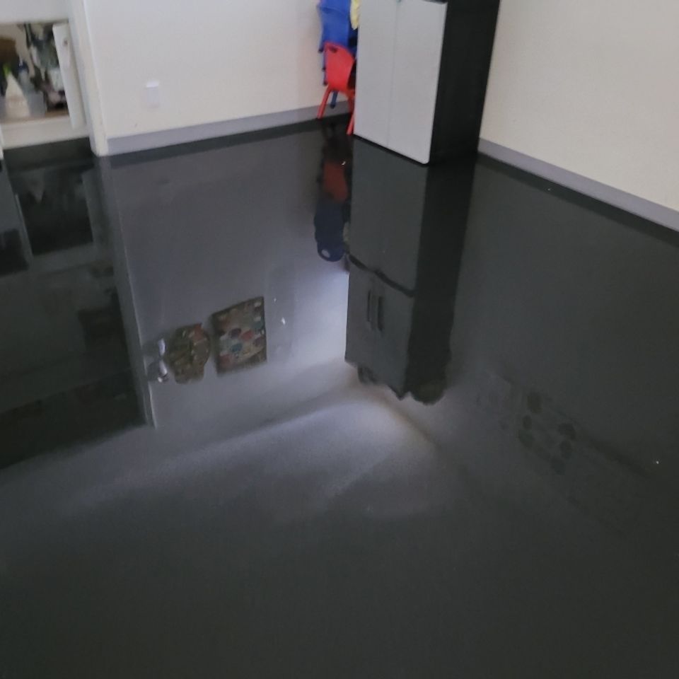 Img 0530