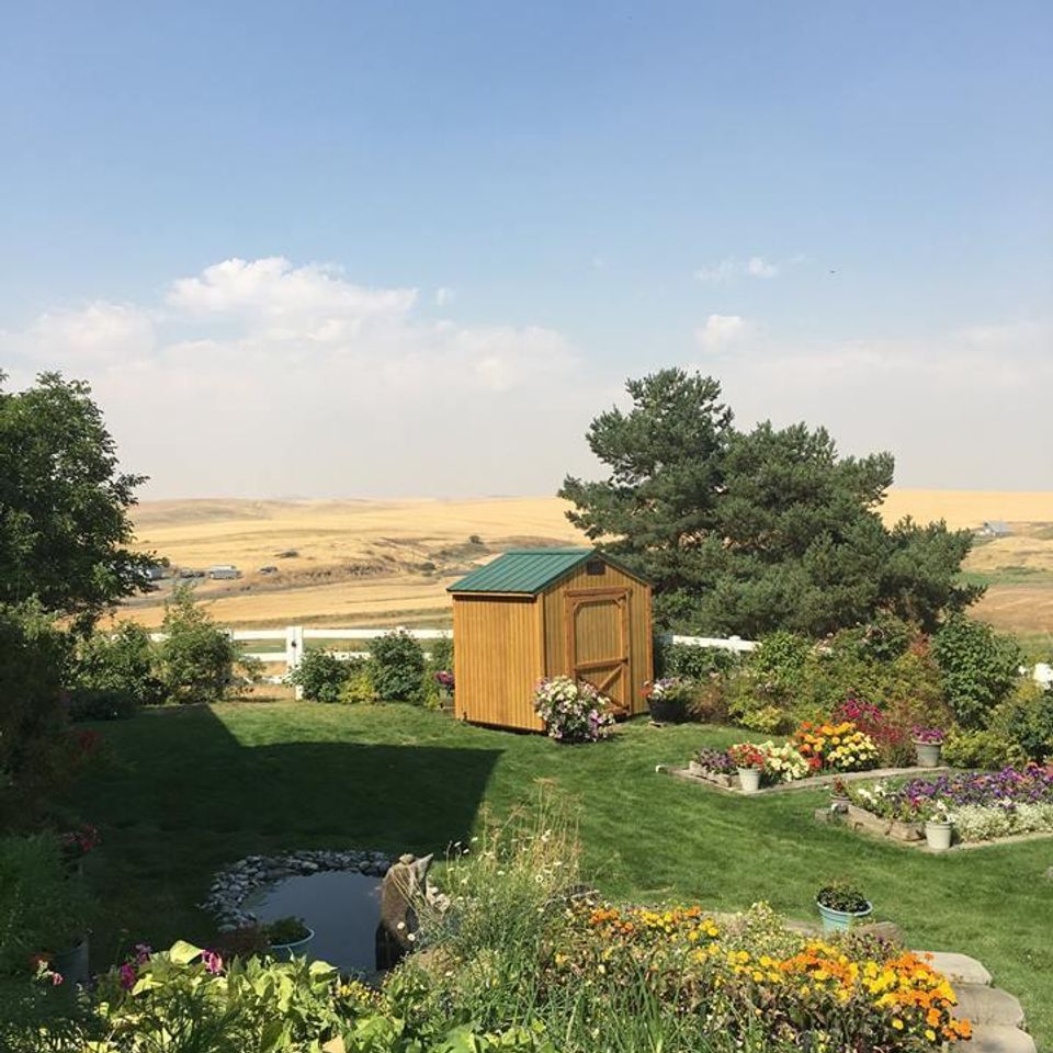 Img 023720180509 25931 xewcl5