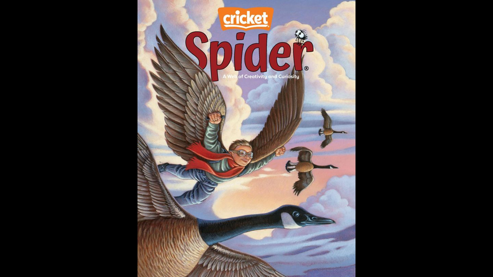 01 02 gold tier magazine   cricket spider