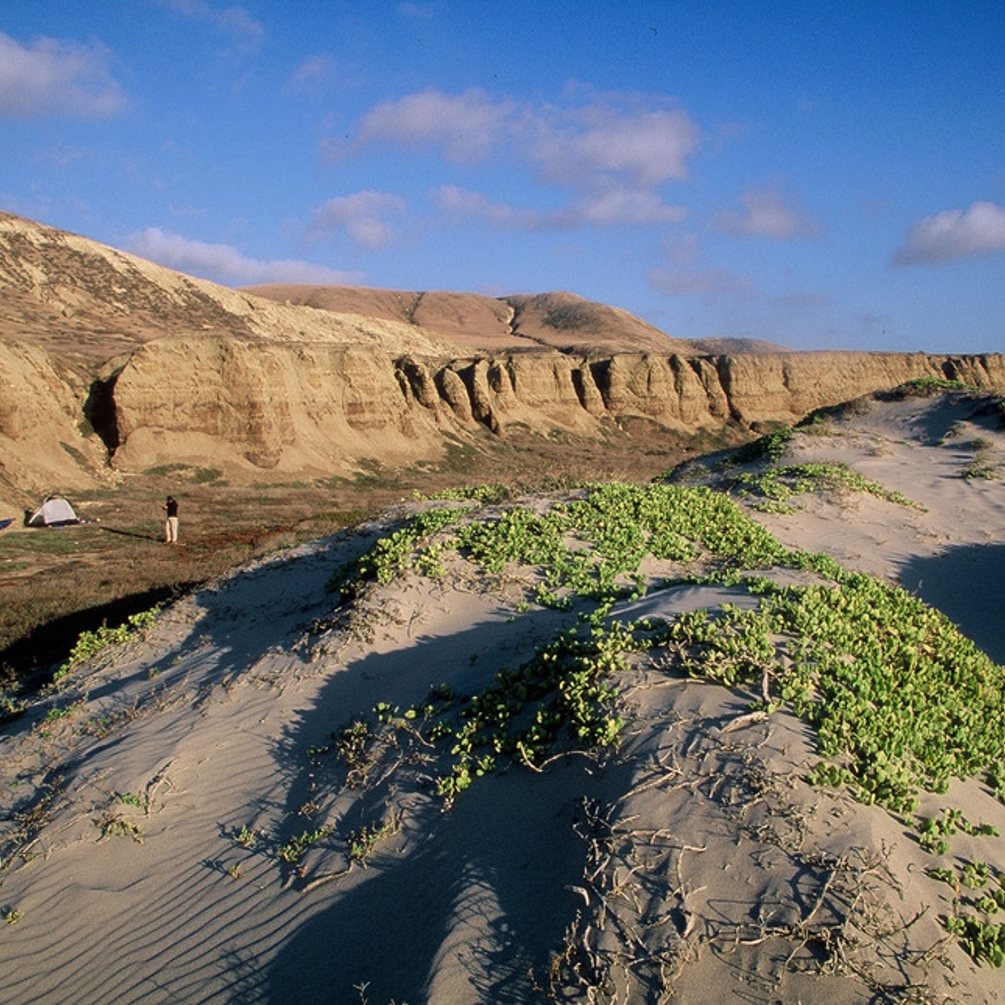 ChuckGraham_SantaRosa_IMG00620121130-1864-1jtga8b-0_original.jpg