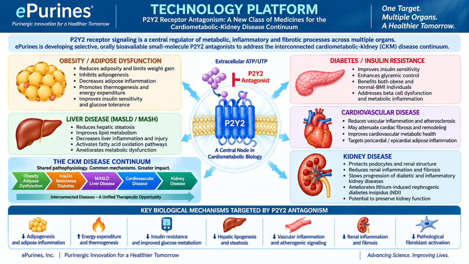 Epurines technology platform