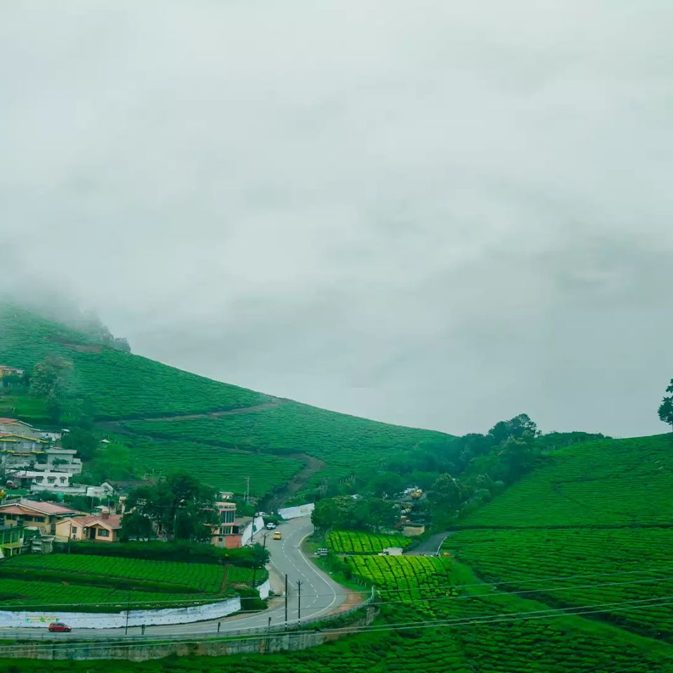 Ooty 1655457424 bca80f81e8391ebdaaca
