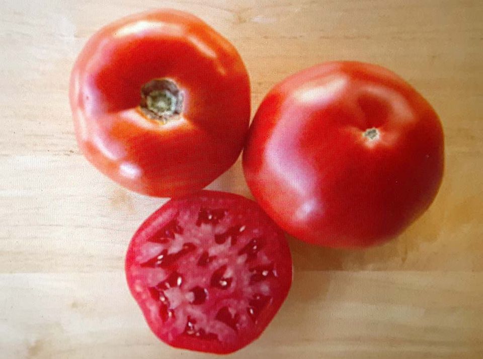 Rodeo tomatoes