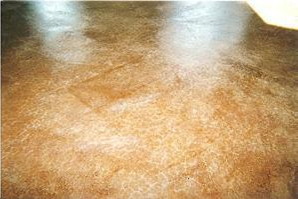 Fin1020160927 13505 ls5vfp