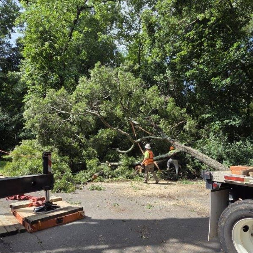 506263322 1121984676615038 5224893773105879260 n