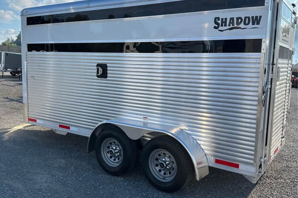 553831114 25306141328988444 1490955951909505495 n