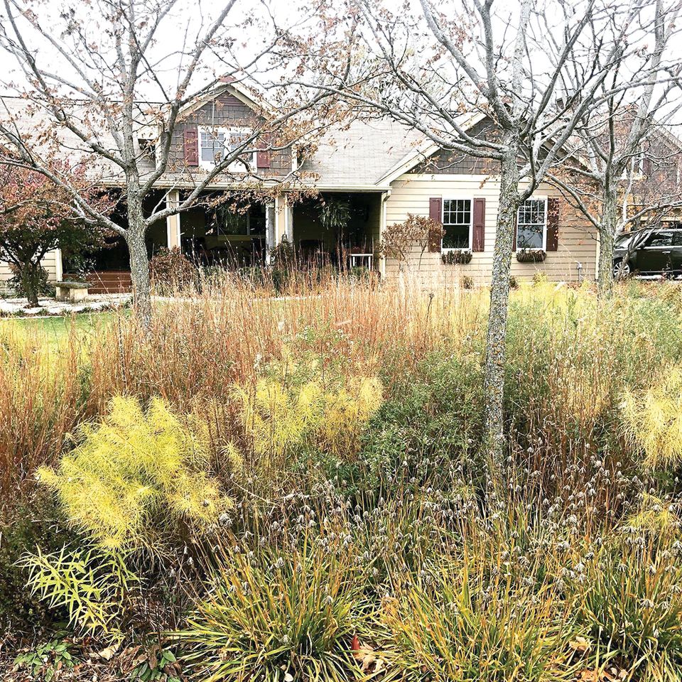 I wait until spring to cut back the circle garden so i can enjoy the fall color  winter texture  and for wildlife habitat.