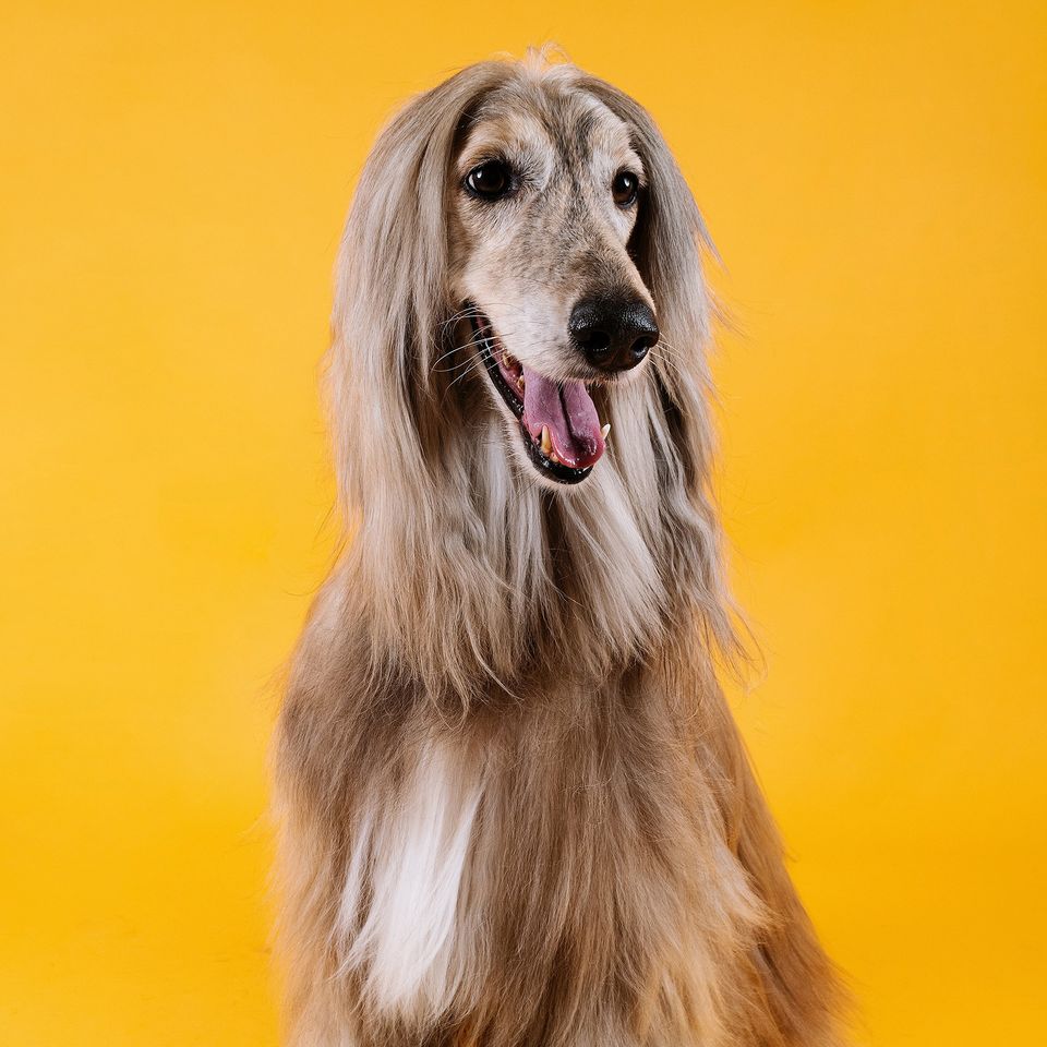 Julio bernal wlgx0fkfsei unsplash