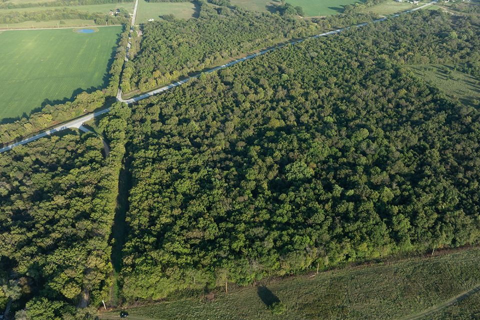 38 acres wentworth missouri 9
