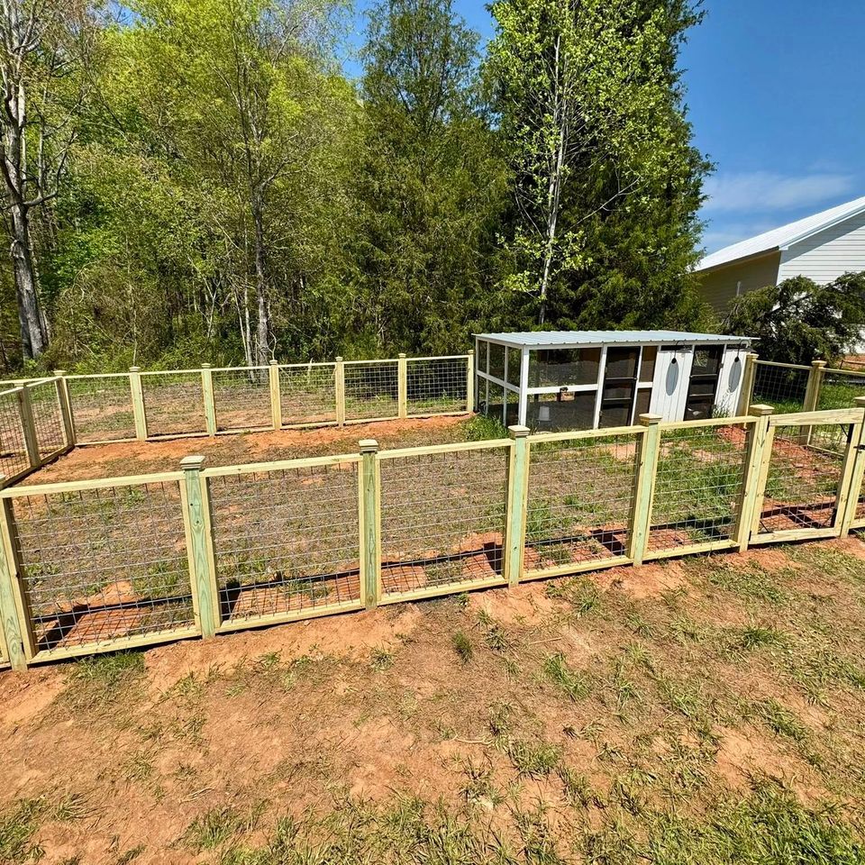 492630282 1222417986555020 2651647318891437166 n