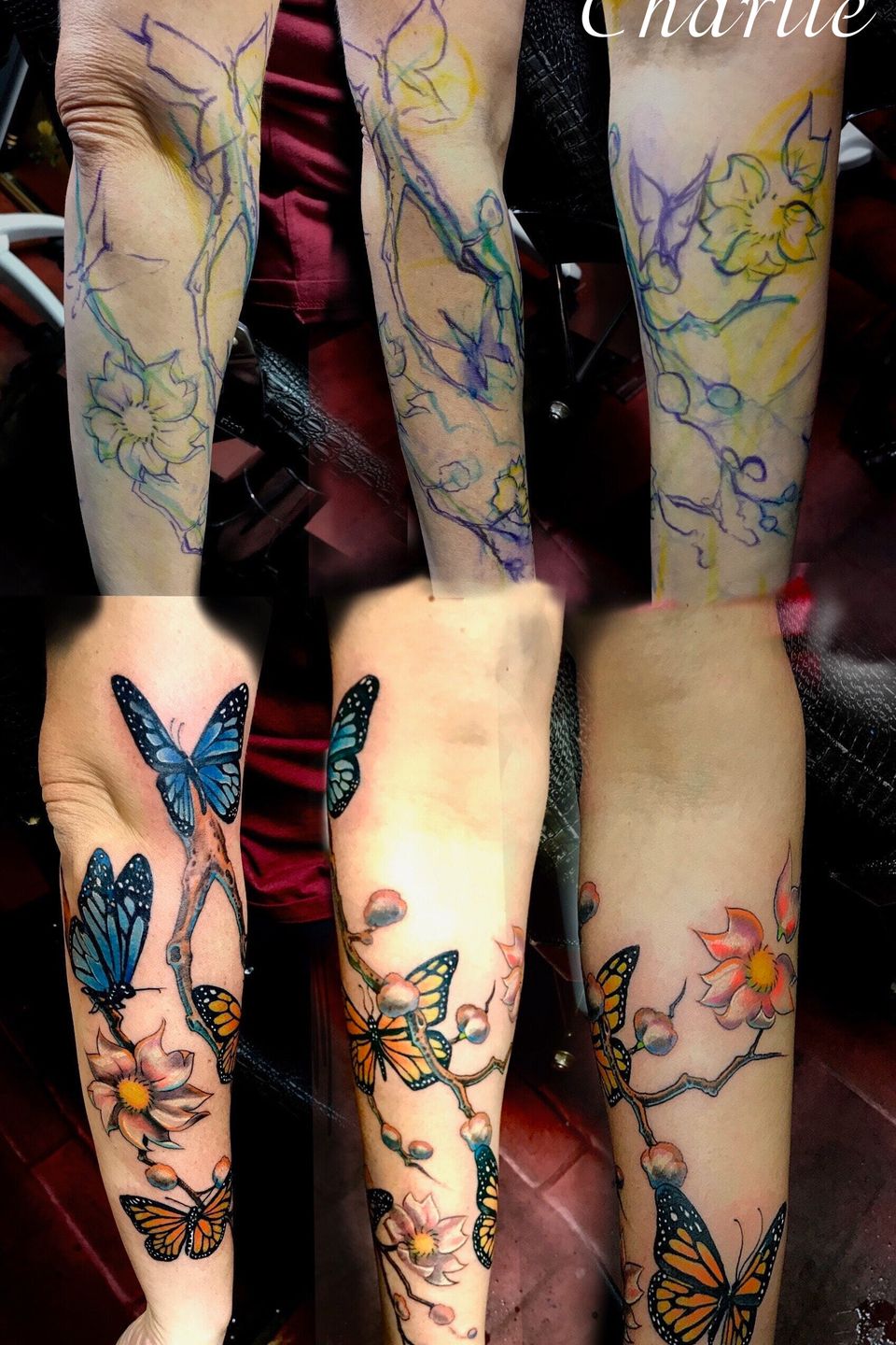 Charlie butterflies with cherry blossoms (with name)