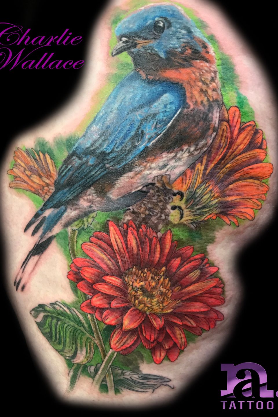 Charlie bird on flowers (with name)