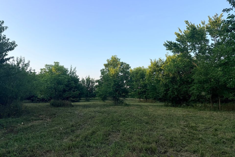 Went 72 8 green field half trees