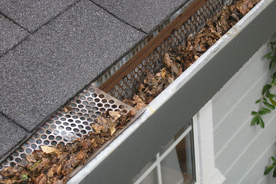 Gutter guard ipswich g70be0e647 1920